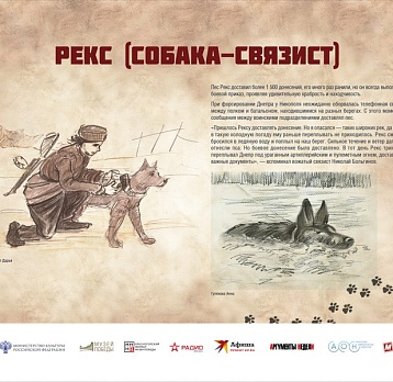 Мультимедийная выставка «Четвероногие герои»
